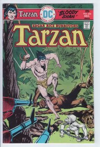 TARZAN #244 - 5.0 - WP - Kubert