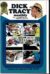 Dick Tracy Monthly/Weekly #21 (1987)