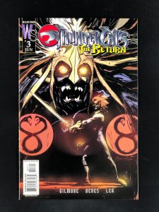 Thundercats: The Return #3 Variant Cover (2003)