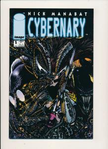 Image Comics DEATHBLOW/CYBERNARY(flip issue)#1 VF/NM  (PF869)