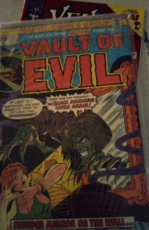 Vault of Evil #23 (1975) Anne Carter