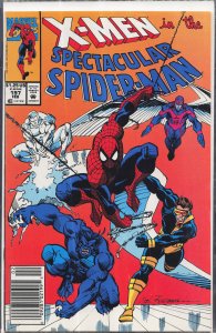 The Spectacular Spider-Man #197 (1993) Spider-Man