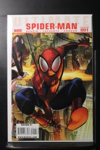 Ultimate Comics Spider-Man: The New World According to Peter Parker (2010)
