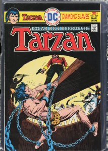 Edgar Rice Burroughs' Tarzan #247 (1976)