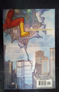 The Flash: Time Flies (2002)