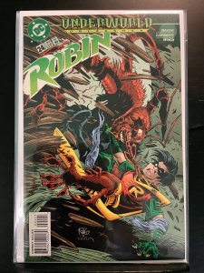 Robin #24 (1996)