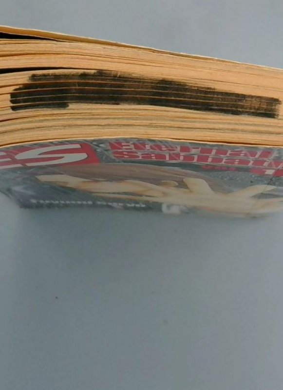 Eternal Sabbath #1, Fuyumi Soryo, Del Rey