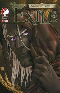 Forgotten Realms: Exile #1B VF/NM ; Devil's Due