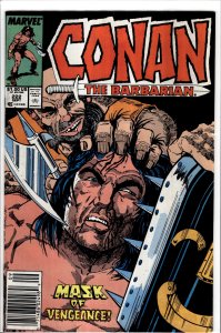 Conan the Barbarian #222 Newsstand Edition (1989) Conan