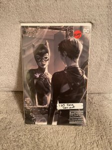 Batman One Bad Day : Catwoman 1