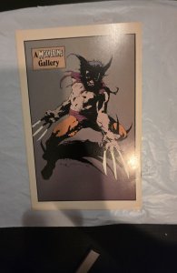 Wolverine #10 (1989)1st sabertooth battle 1zt silver fox