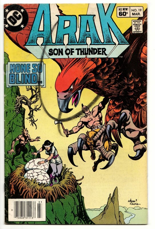 Arak Son of Thunder #19 (DC, 1983) VG