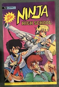 Ninja High School: The Prom Formula #1 (1991)