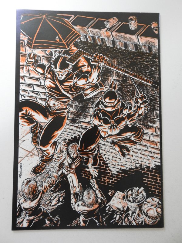 Raphael Teenage Mutant Ninja Turtle (1985) VF Condition!