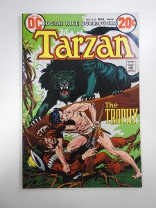 Tarzan #218 (1973)