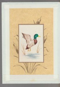 HAPPY BIRTHDAY Mallard Duck Taking Flight 7x9.5 Greeting Card Art #B8911