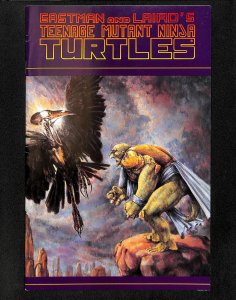 Teenage Mutant Ninja Turtles #36