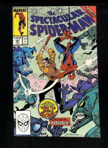 Spectacular Spider-Man #147