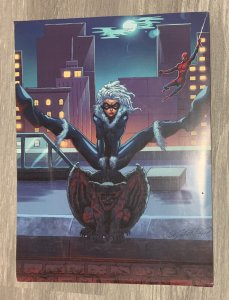 SPIDER-MAN BLACK CAT 9x12 Color Gargoyle Print VG+ 45 on Heavy Paper