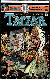 Edgar Rice Burroughs' Tarzan #242 (1975)
