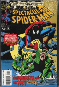 The Spectacular Spider-Man #216 (1994) Spider-Man