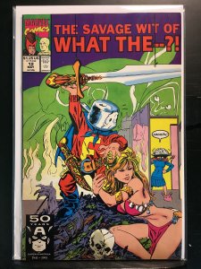 What The--?! #12 (1991)