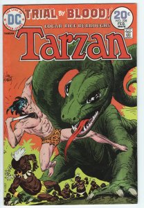TARZAN #228 - 3.5 - WP - Kubert