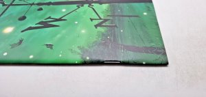 WYND THE THRONE IN THE SKY #1 ~ BUENO VIRGIN VARIANT ~TINY ONION NM