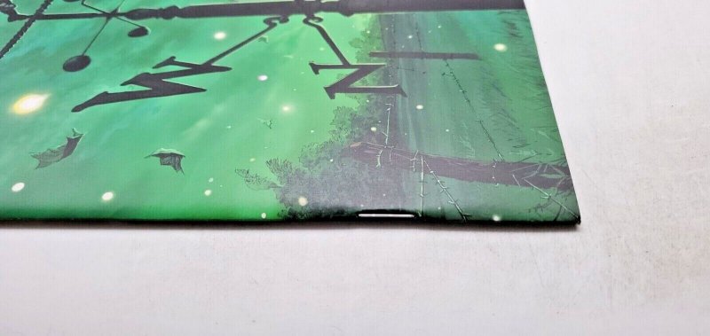 WYND THE THRONE IN THE SKY #1 ~ BUENO VIRGIN VARIANT ~TINY ONION NM