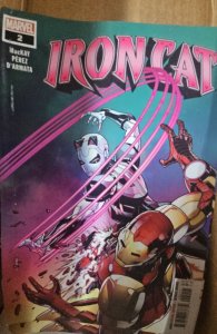 Iron Cat #2 (2022)
