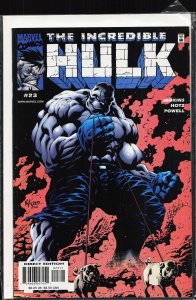 Incredible Hulk #23 (2001) Hulk