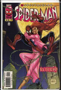 The Spectacular Spider-Man #241 (1996) Spider-Man