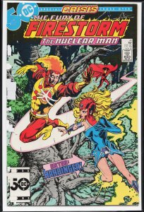The Fury of Firestorm #41 (1985) Firestorm