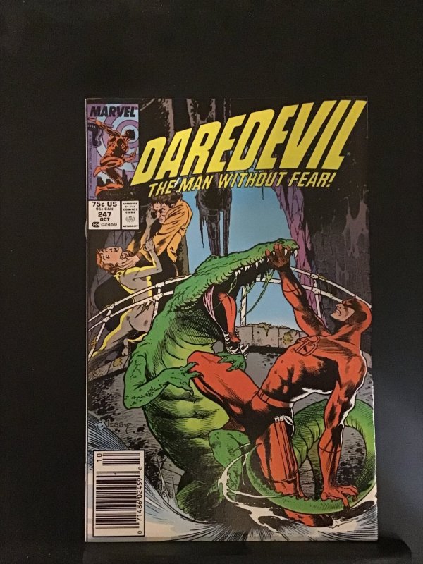 Daredevil #247 (1987)