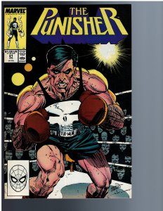 The Punisher #21 (1989)