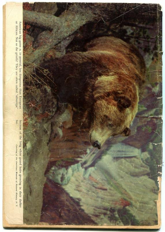 Four Color Comics #333 1951- Zane Grey's Wilderness Trek FAIR