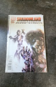 Shadowland: Blood on the Streets #3 (2010)