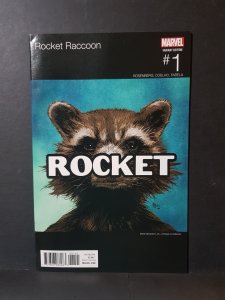 Rocket Raccoon #1