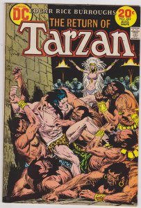 Tarzan #222