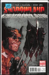 Shadowland #5 Christopher Cover (2011) Daredevil