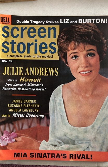 Screen Stories  Nov.1966-Julie James Liz&Dick,C all my mags! Combine!