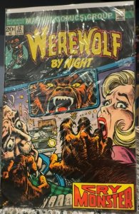 Werewolf by Night #12 (1973)