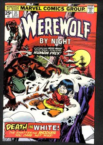 Werewolf by Night #31 (1975)
