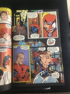 SPIDER-MAN #33 FIRST PRINT MARVEL COMICS (1993) PUNISHER 