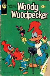 Walter Lantz Woody Woodpecker #195 (1981)