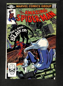 Amazing Spider-Man #226 Black Cat!