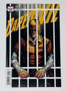DAREDEVIL #25 (2020)