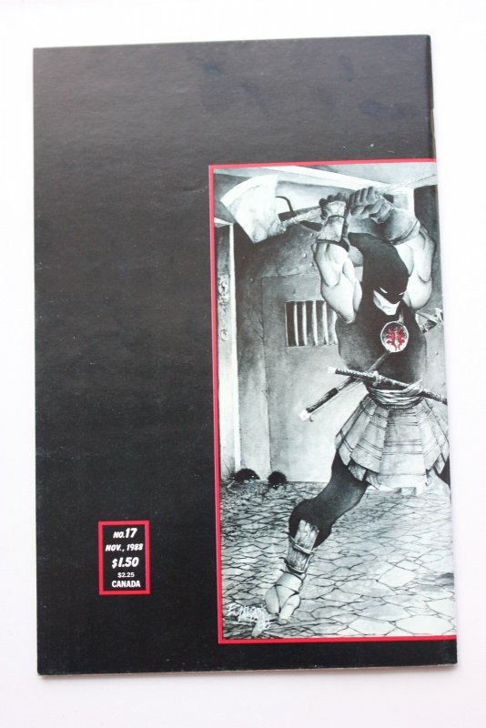 Teenage Mutant Ninja Turtles #17 (1988) NM