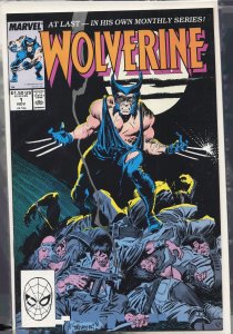 Wolverine #1 (1988) Wolverine [Key Issue]