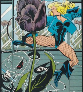 Black Canary(1993)# 1,2,3,4,5,6   The Future Birds of Prey star !